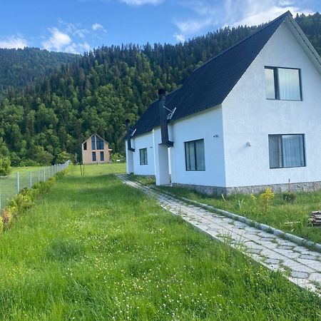 White House Near Borjomi Sadgeri Apartment Exterior photo