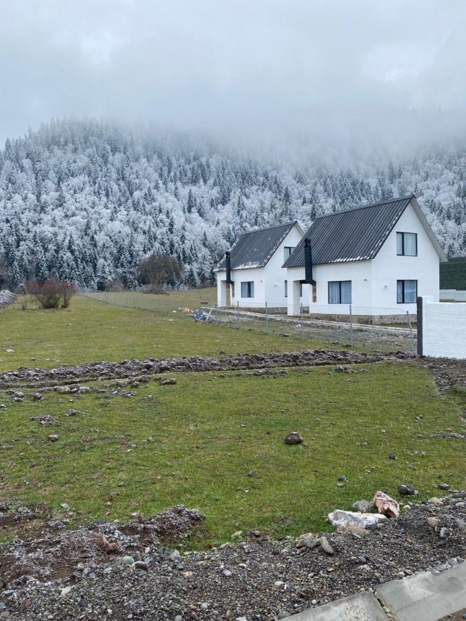 White House Near Borjomi Sadgeri Apartment Exterior photo