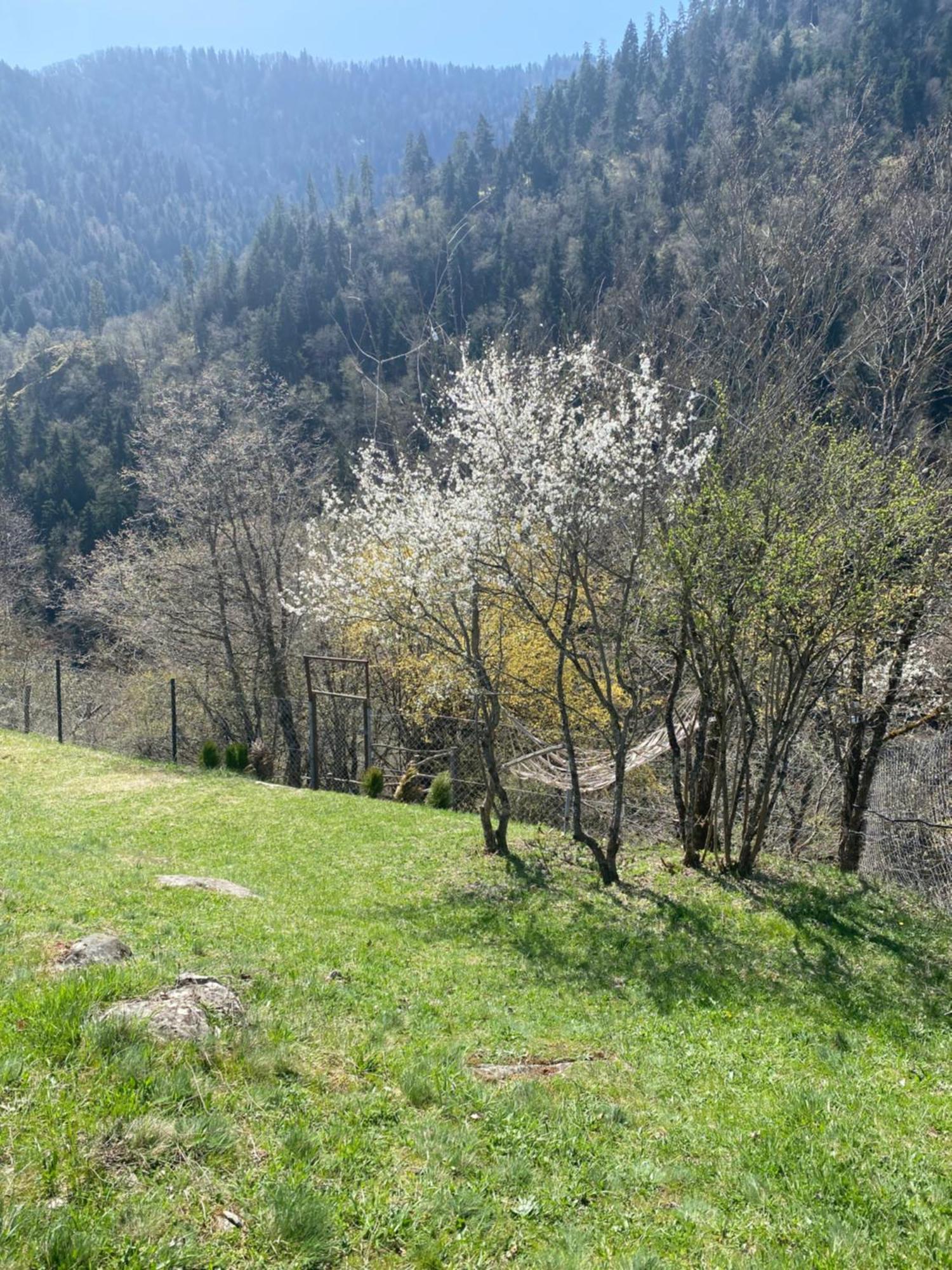 White House Near Borjomi Sadgeri Apartment Exterior photo